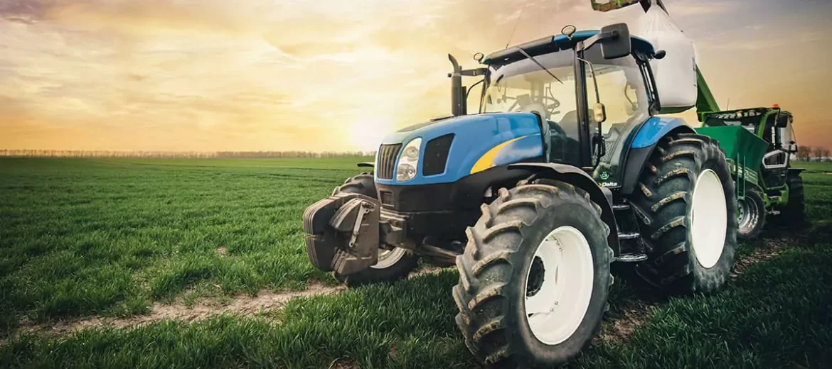 مزرعة الدواجن البلدية