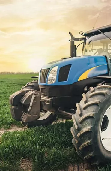 مزرعة الدواجن البلدية